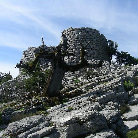 Agriturismo Didone Dorgali Dış mekan fotoğraf