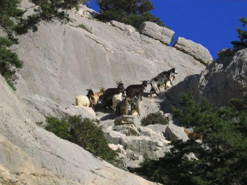 Agriturismo Didone Dorgali Dış mekan fotoğraf